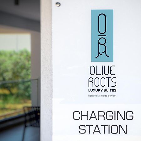 Olive Roots Hotell Skala Rachoni  Exteriör bild