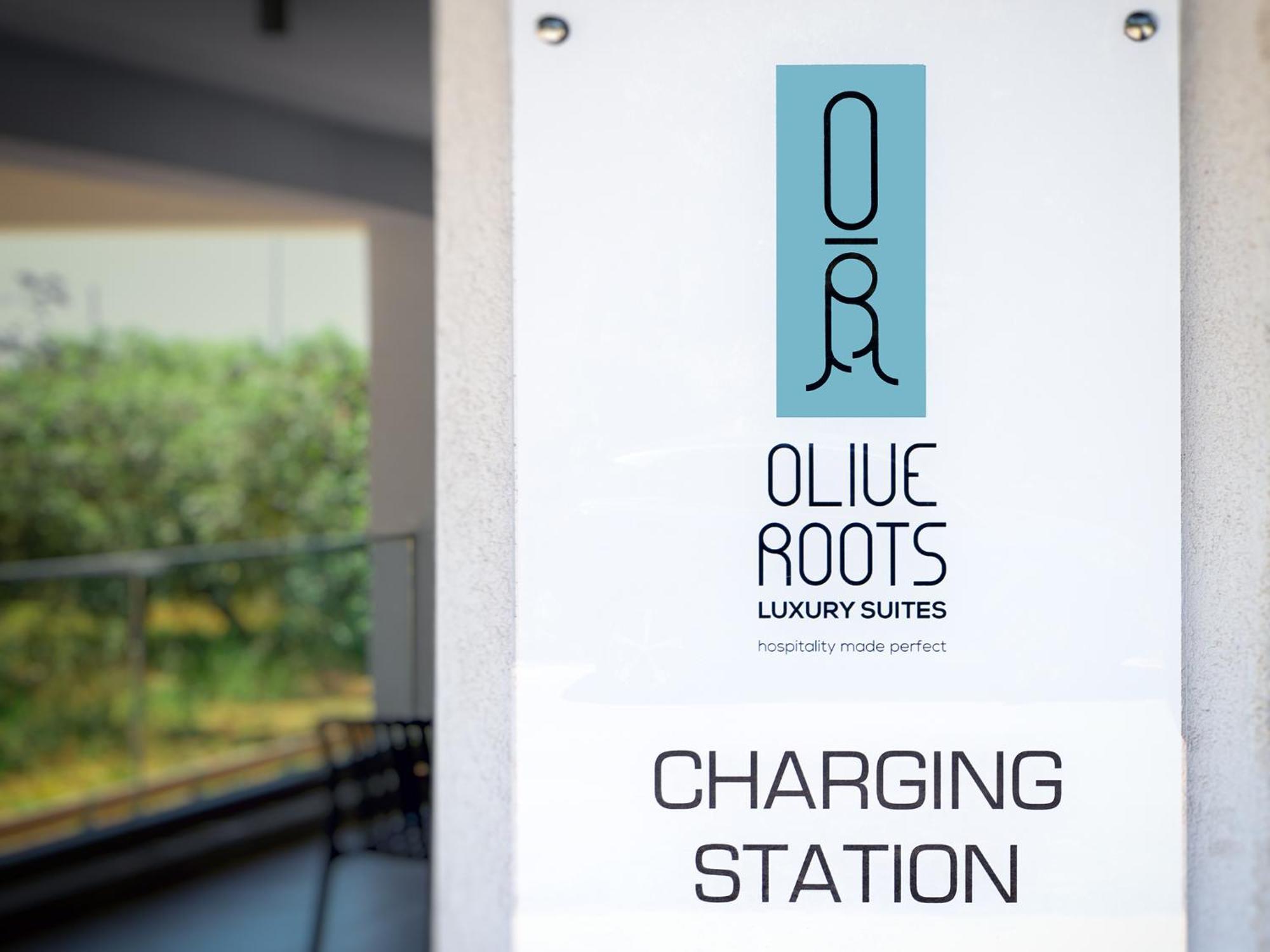 Olive Roots Hotell Skala Rachoni  Exteriör bild