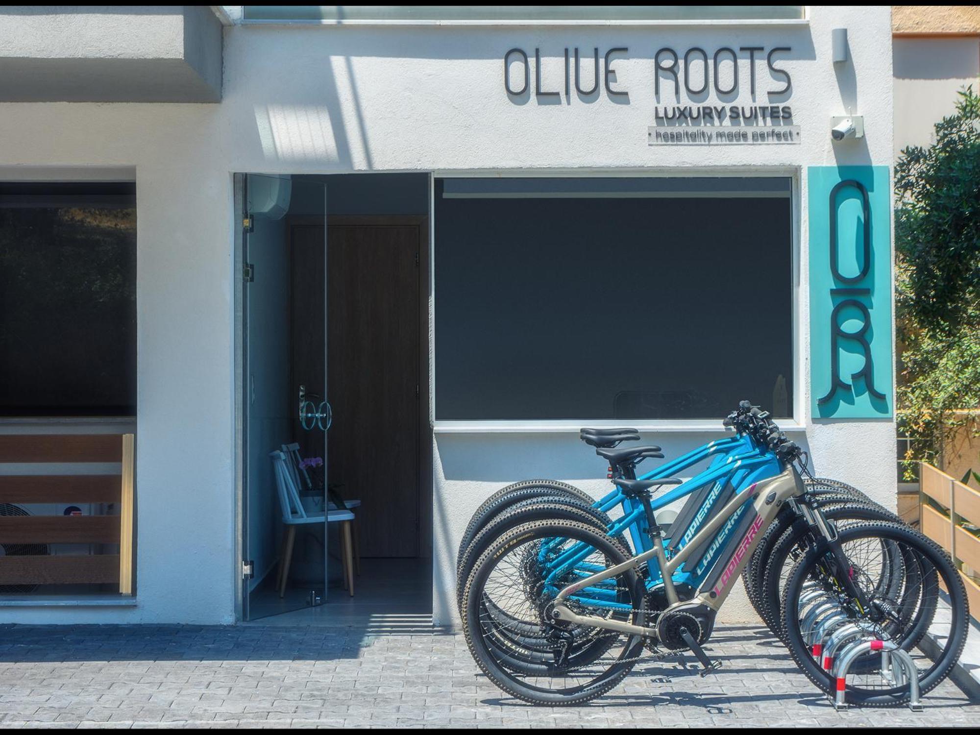 Olive Roots Hotell Skala Rachoni  Exteriör bild