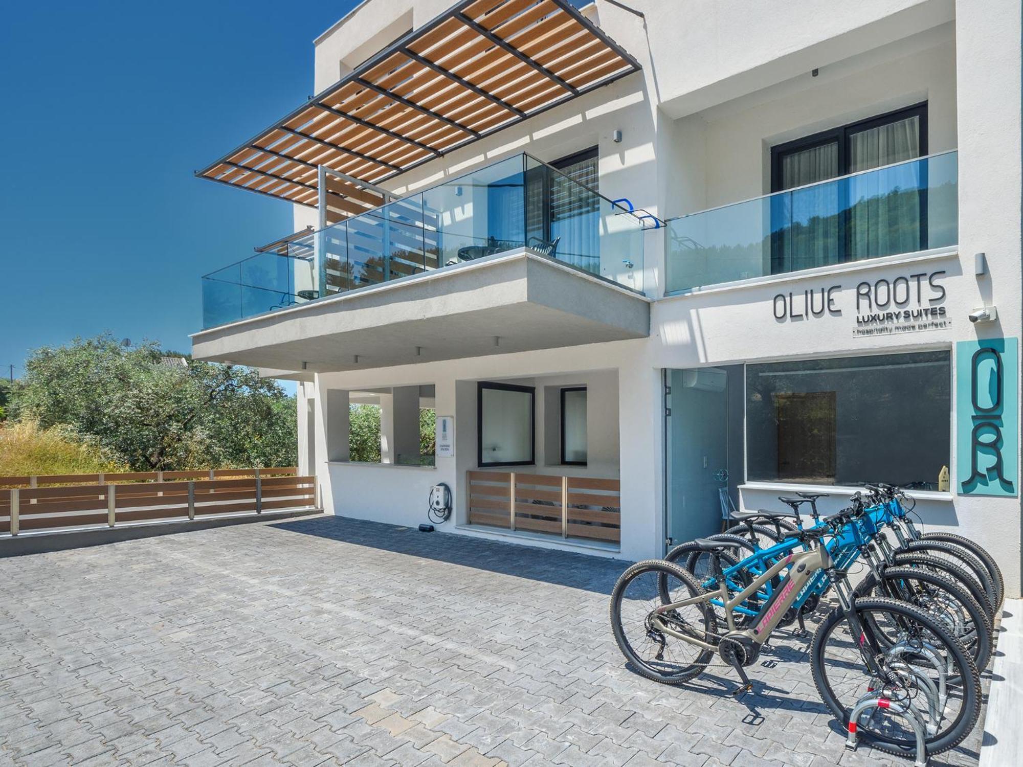 Olive Roots Hotell Skala Rachoni  Exteriör bild